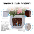 Bex Handmade Ceramic Planter, Set of 3