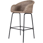 Ladd Outdoor Metal Wicker Barstool, Set of 2