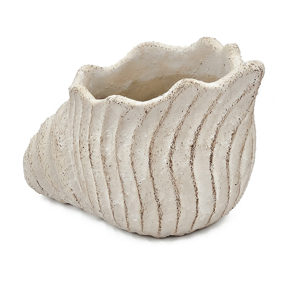 Conch Shell Planter with Textured Finish