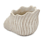 Conch Shell Planter with Textured Finish