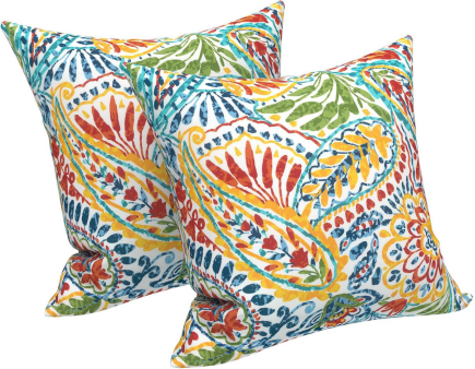 Paisley 18x18 Waterproof & Fade-Resistant Outdoor Throw Pillows, Set of 2