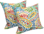 Paisley 18x18 Waterproof & Fade-Resistant Outdoor Throw Pillows, Set of 2
