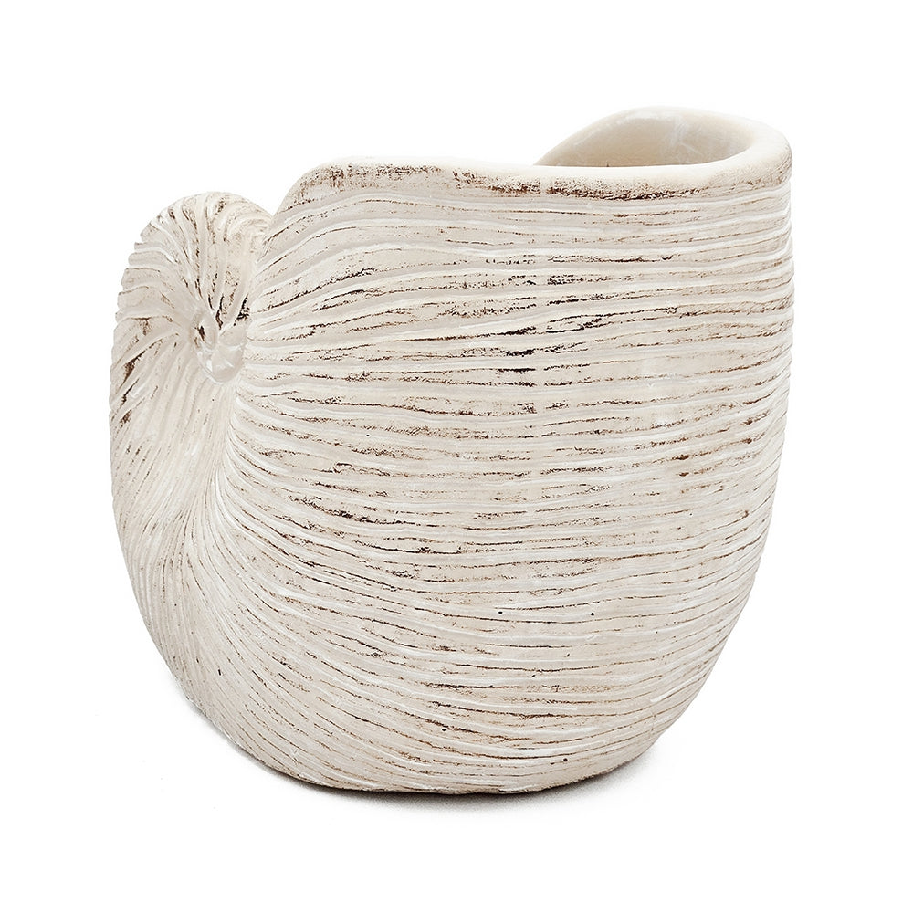 Nautilus Shell Planter with Textured Finish