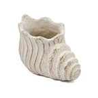 Conch Shell Planter with Textured Finish