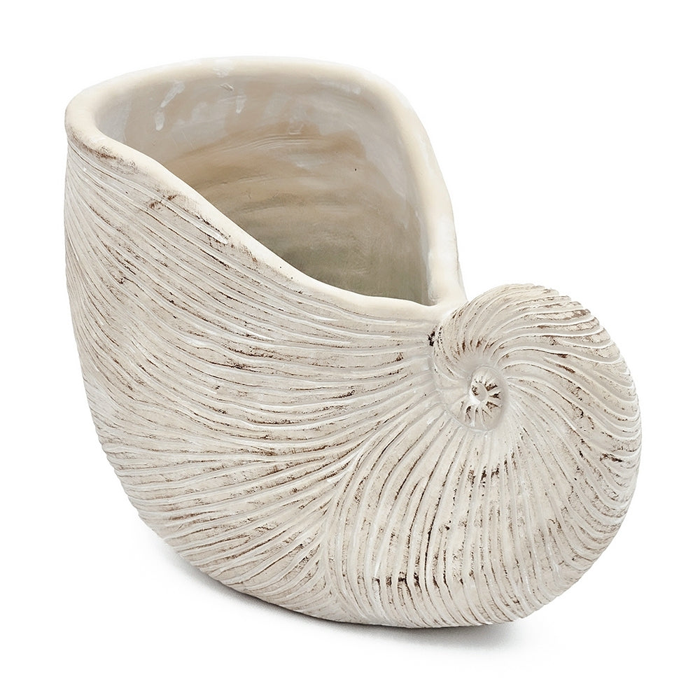 Nautilus Shell Planter with Textured Finish