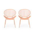 Outdoor Iron Chair with Tapered Legs and Wing Design, Set of 2