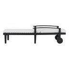 Delmar Chaise Lounge
