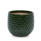 Bex Handmade Ceramic Planter, Set of 3