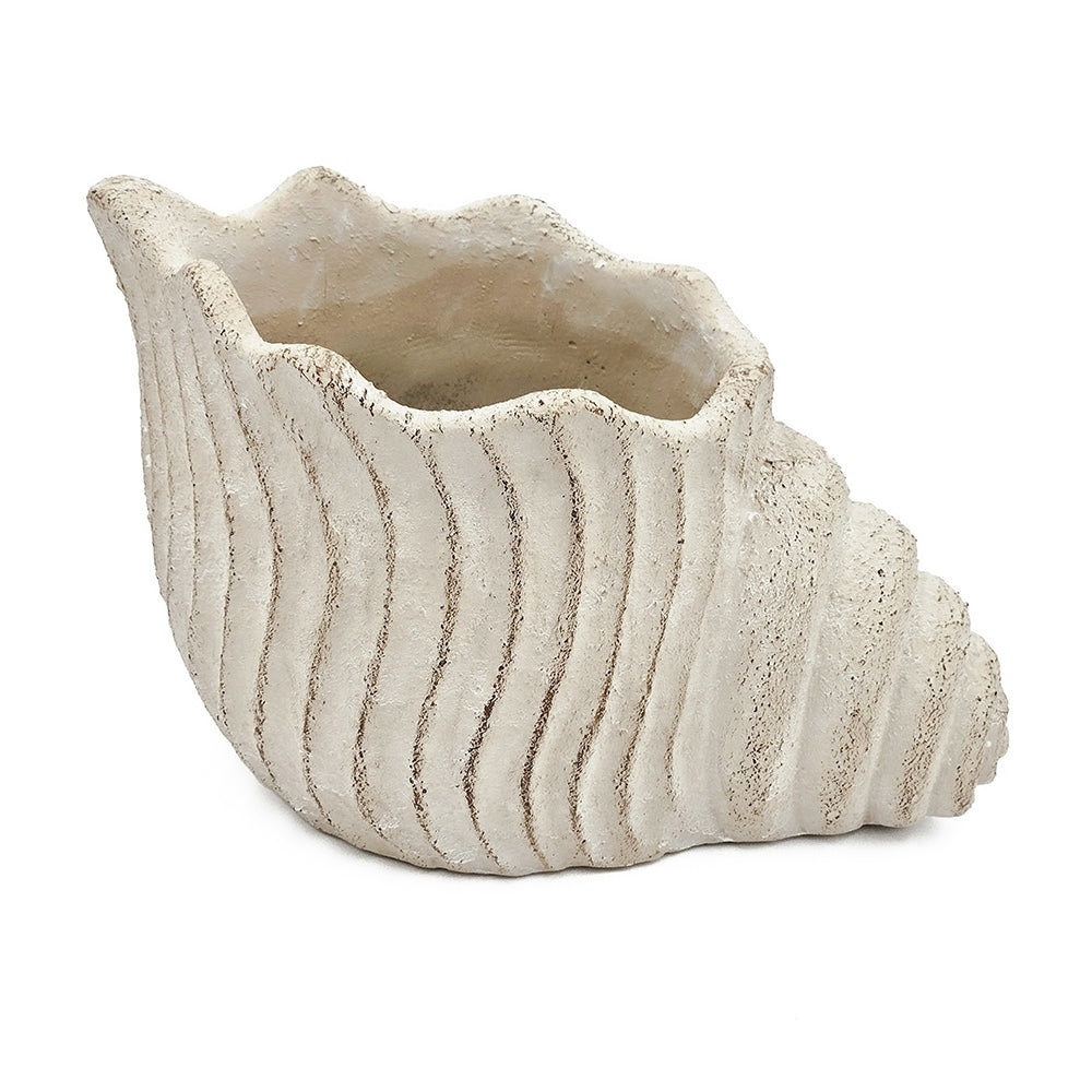 Conch Shell Planter with Textured Finish