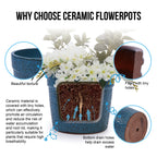 Aven Handmade Ceramic Planter, Set of 3
