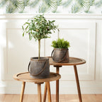 Dark Wooden Pail Planter with Metal Handle Accent, Set of 2