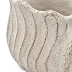 Conch Shell Planter with Textured Finish