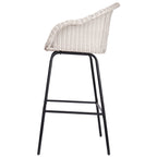 Ladd Outdoor Metal Wicker Barstool, Set of 2