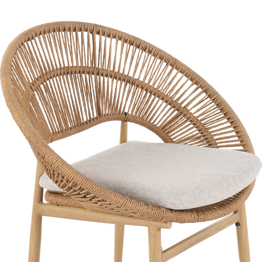 Cyril Outdoor Wicker Papasan Style Dining Chair, Set of 2