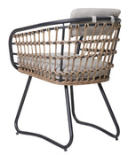 Maristella Outdoor Wicker Dining Arm Chairs, Set of 2