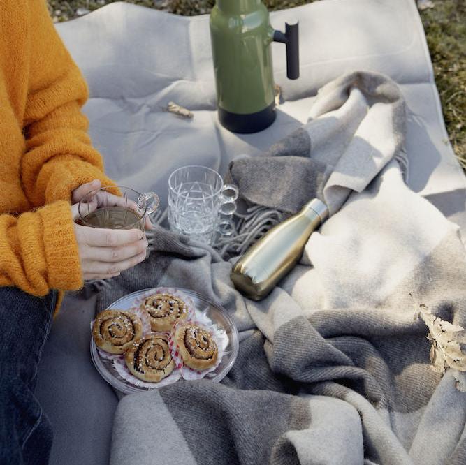 Picnic Outdoor Dinnerware Collection 10 in. Plates, Set of 2