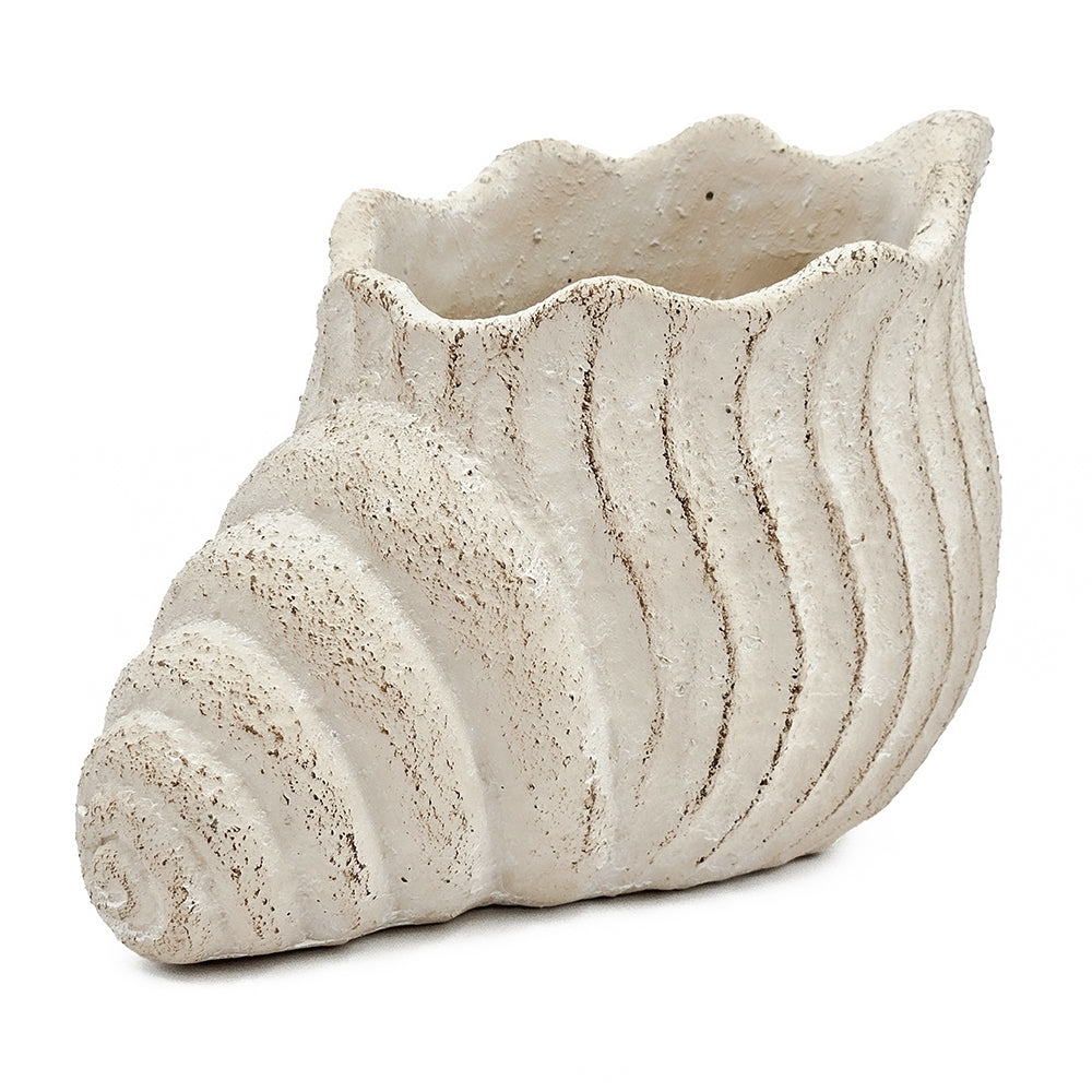 Conch Shell Planter with Textured Finish