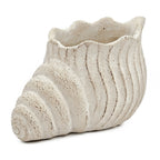 Conch Shell Planter with Textured Finish