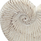 Nautilus Shell Planter with Textured Finish