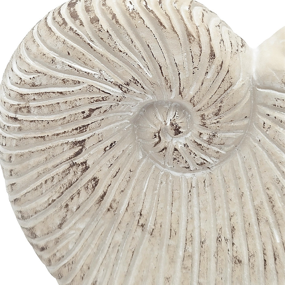 Nautilus Shell Planter with Textured Finish