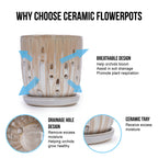 Aven Beige Handmade Ceramic Planter, Set of 2