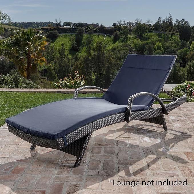 Salem Outdoor Chaise Lounge Cushion, Set of 2