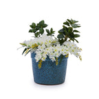 Aven Handmade Ceramic Planter, Set of 3