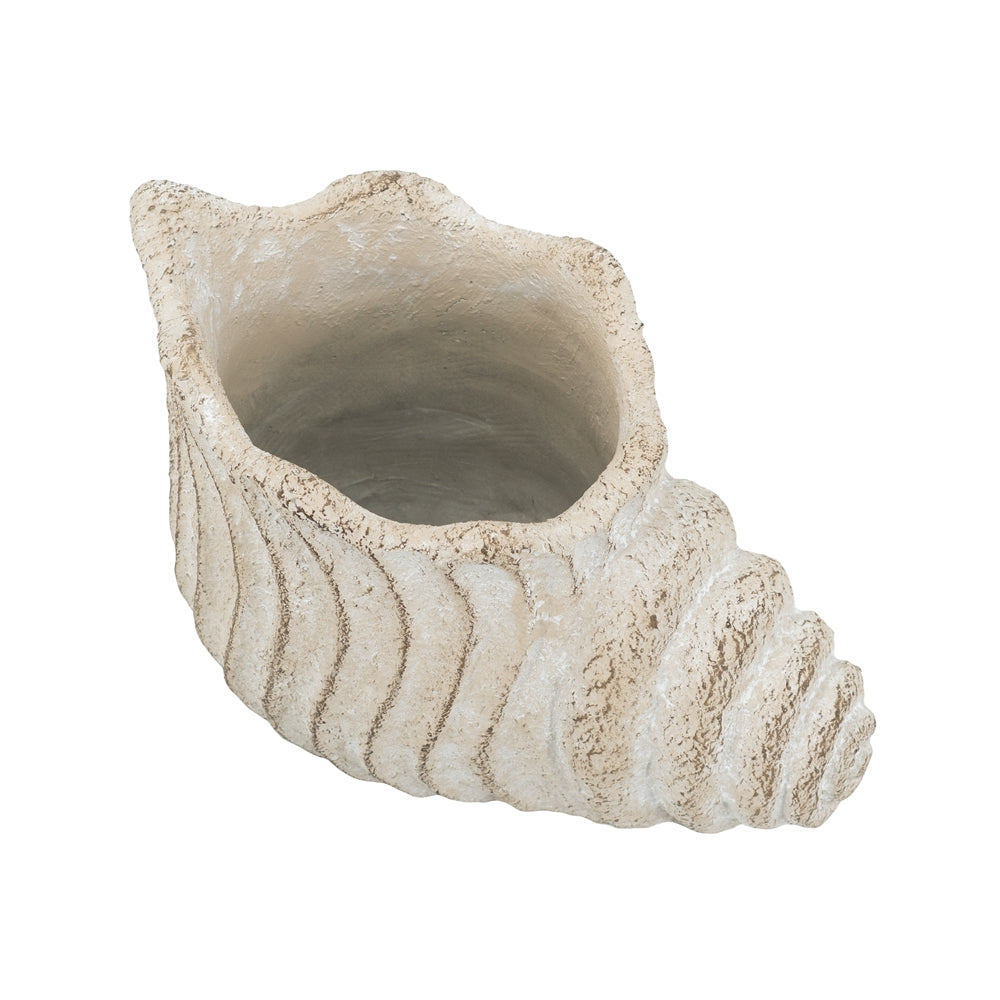 Conch Shell Planter with Textured Finish