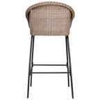 Ladd Outdoor Metal Wicker Barstool, Set of 2
