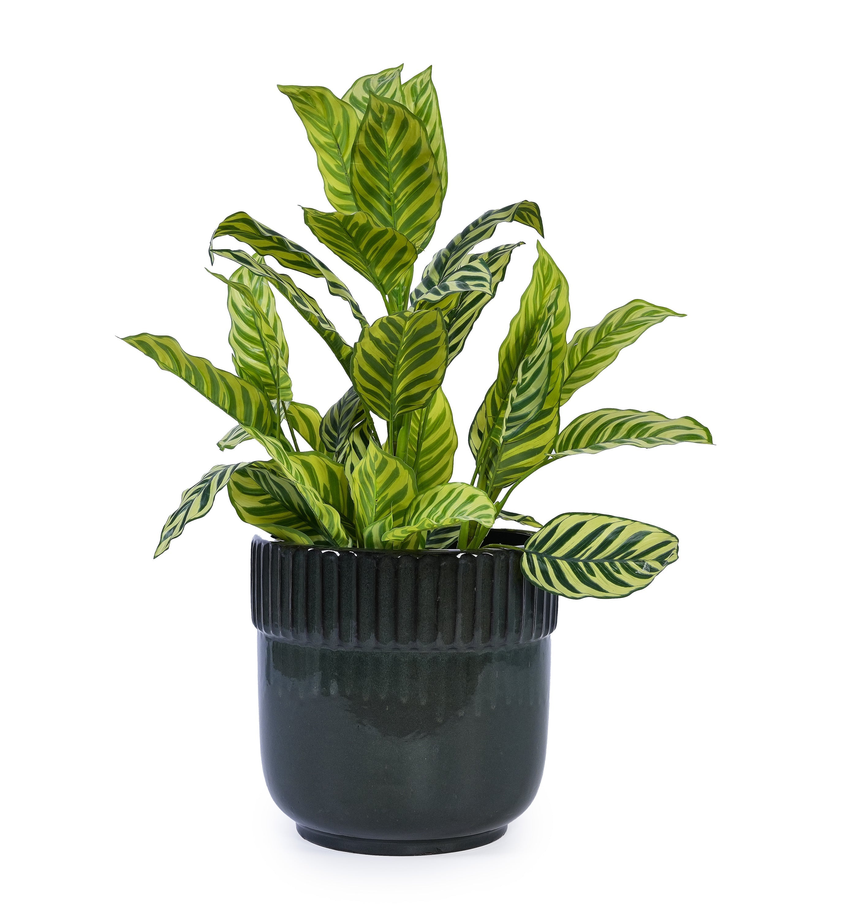 Axton Handmade Ceramic Planter, Set of 3