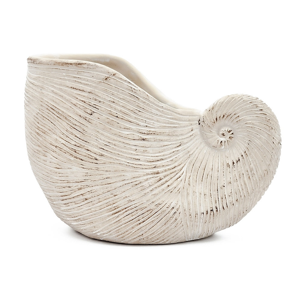Nautilus Shell Planter with Textured Finish