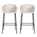 Ladd Outdoor Metal Wicker Barstool, Set of 2