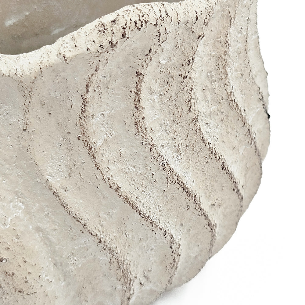 Conch Shell Planter with Textured Finish