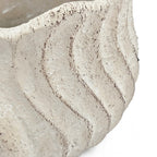 Conch Shell Planter with Textured Finish