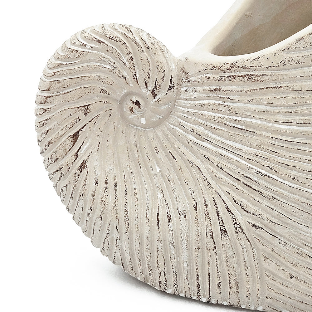 Nautilus Shell Planter with Textured Finish