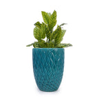 Elan Handmade White Ceramic Planter