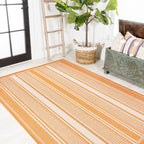 Haynes Modern Double Stripe Indoor/Outdoor Area Rug