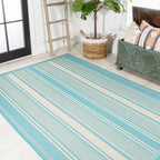 Haynes Modern Double Stripe Indoor/Outdoor Area Rug