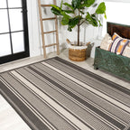 Haynes Modern Double Stripe Indoor/Outdoor Area Rug