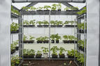 Outsunny 6 x 8ft Greenhouse Walk-in Portable Gardening Plant Flower