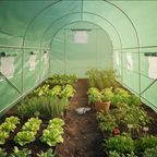 Outsunny 15x6.6x6.6ft Walk-in Dome Greenhouse Plant Seed Warm House