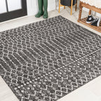 Ourika Moroccan Geometric Textured Weave Indoor/Outdoor Area Rug