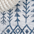 Tokay Bohemian Geometric Indoor/Outdoor Area Rug