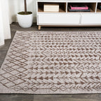 Tokay Bohemian Geometric Indoor/Outdoor Area Rug